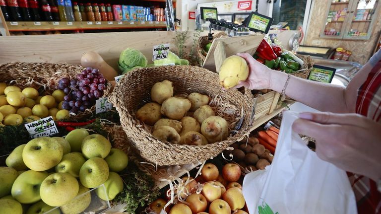 La Xunta ampliará a 24 meses la cuota cero para las nuevas altas de autónomos en agricultura, ganadería y silvicultura