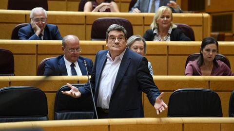 El ministro de Inclusión, Seguridad Social y Migraciones, José Luis Escrivá, durante una sesión de control al Gobierno en el Senado