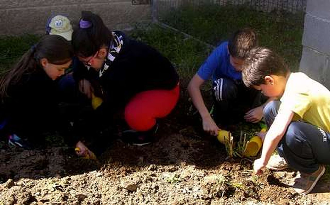 Un colegio de Sarria que aprende de la tierra cómo cuidar a los seres vivos