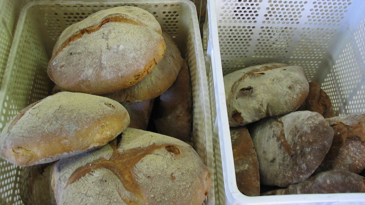 As� se transformar� el n�mero 26 de la calle Ervedelo en Ourense.Entre las novedades en la comarca de Terra de Melide, est�n la reapertura al ba�o en el r�o Furelos, que ya recibi� a sus primeros visitantes este a�o (en la imagen); y la ampliaci�n de la zona de ba�o libre de A Cornella, dotada de nuevo mobiliario, parque infantil y pista multideporte para este verano.