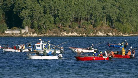 Los mariscadores de la Ria de Noia vuelven a trabajar