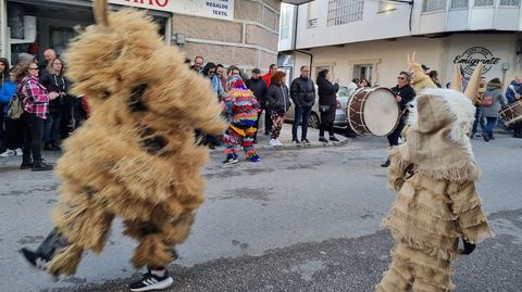 Viana acoge la mayor mascarada de la pennsula Ibrica.Una de las mscaras participantes en el desfile.