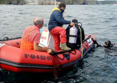 Imagen de la siembra de erizos de mar realizada recientemente en la costa de Luarca.