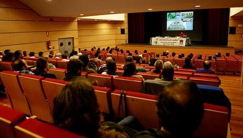 Los arqueólogos proponen nuevas lecturas para la Edad del Hierro.