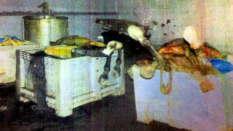 Las naves de As Neves almacenaban de forma ilegal contenedores llenos de cadáveres de animales