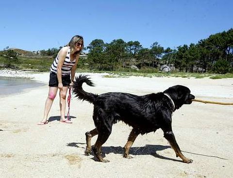 El año pasado, O Grove recibió numerosas felicitaciones por contar con una playa para perros.