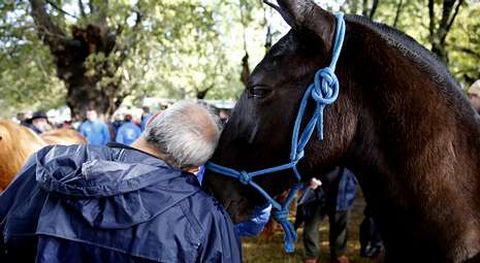Unas trece mil personas se acercaron hasta la carballeira de Francos para comprar, y sobre todo, disfrutar con los caballos.