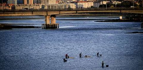 El pósito y la plataforma en Defensa da Ría de O Burgo se concentraron la pasada semana delante de la Delegación del Gobierno.