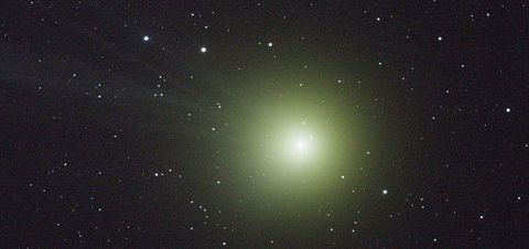 Lovejoy XXL
