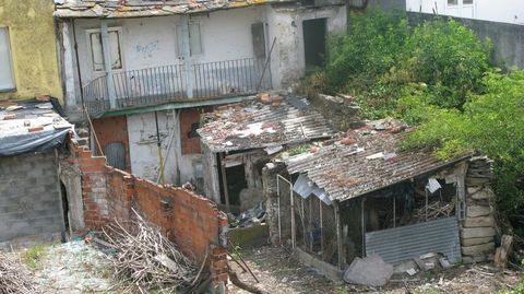 Feísmo junto a la muralla de Lugo.