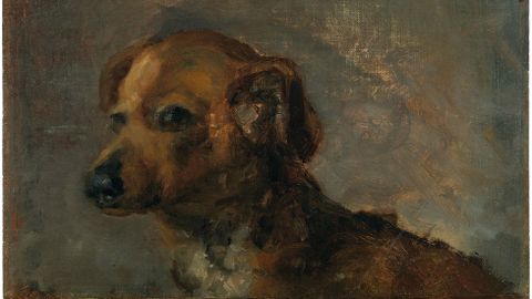«Clíper, el perro del artista». Ca. 1895