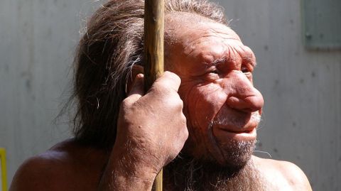 Reproduccin de un neandertal del Museo de Dsseldorf