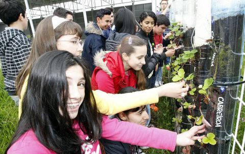 Alumnos del IES Alfoz-Valadouro cuidando esta semana las fresas que plantaron en botellas de plástico, sistema de huerto vertical.
