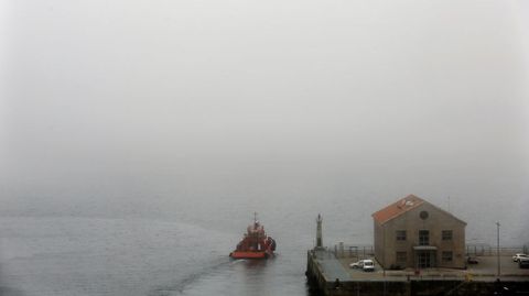 Niebla Conocer Gente En Gratis
