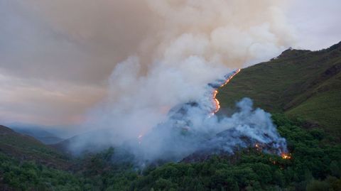 La zona afectada en O Courel está dentro de la Rede Natura