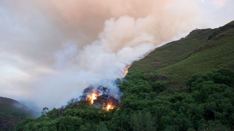 La zona afectada en O Courel está dentro de la Rede Natura