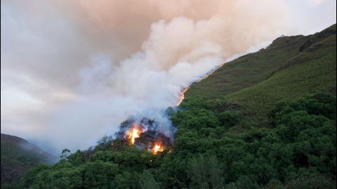 El fuego se declaró a última hora de la tarde del sábado en una zona abrupta y de difícil acceso