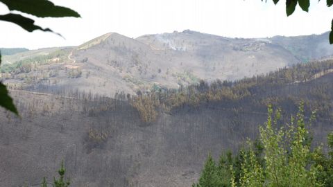 Las zonas próximas a la aldea de A Balsa fueron las más afectadas en el incendio de Navia