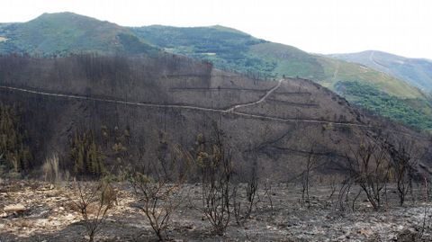 Las zonas próximas a la aldea de A Balsa fueron las más afectadas en el incendio de Navia
