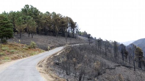 La carretera de acceso a la aldea de A Balsa no sirvió de cortafuegos
