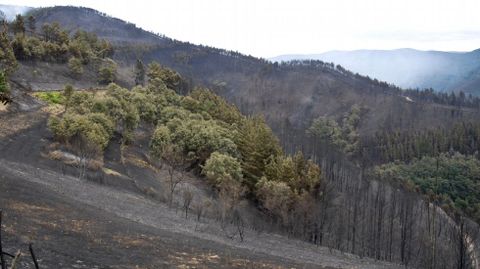 Las zonas próximas a la aldea de A Balsa fueron las más afectadas en el incendio de Navia