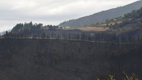 La aldea de A Balsa se salvó milagrosamente de ser pasto de las llamas
