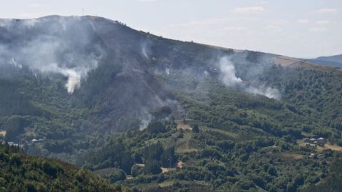 Las llamas arrasaron, en la zona de Bruicedo, 28 hectáreas según datos de la Xunta