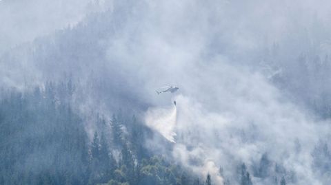 Los medios aéreos fueron vitales para la pronta extinción del incendio