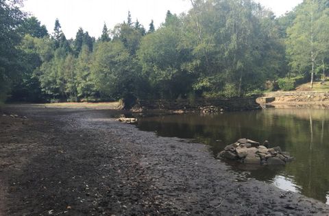 <span lang= es-es >Un lago casi seco que exhibe su abandono</span>. Muros de contención caídos, una fauna que no es autóctona e impide la biodiversidad, y la acumulación de sedimentos en el lago es lo que ha quedado a la luz este mes en un año de pocas lluvias. Castiñeiras está casi vacío y su deterioro a la vista de todos.