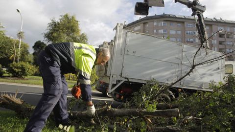 Retirada de un árbol que cayó en A Coruña