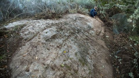 Los petroglifos de Pena do Lagarto conforman un gran panel sobre un bloque granítico de unos diez metros de longitud