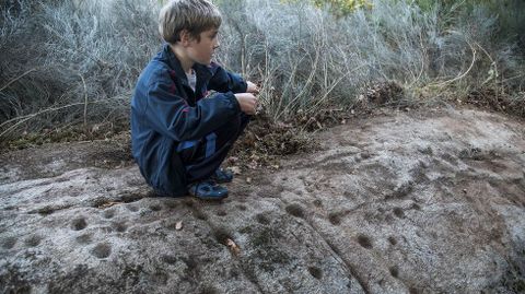 Una de las dos caras del peñasco que contiene los grabados está tapada por la maleza y en ella podría haber más dibujos prehistóricos