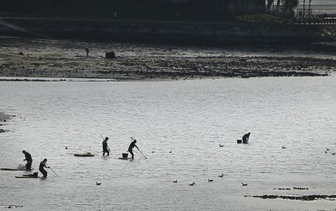 Una docena de mariscadores en la ría de O Burgo, a plena luz del día. Imagen de archivo