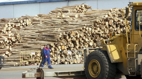 Operaciones con madera de eucalipto en el muelle interior