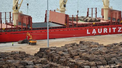 Vista de una operación con madera en Caneliñas