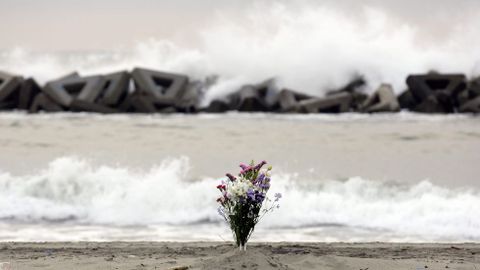 Flores en la playa de Arahama.