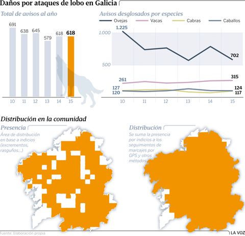 Daños por ataques de lobo en Galicia