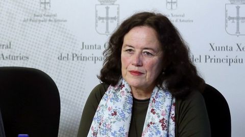 La diputada de Podemos en la Junta General, Paula Valero
