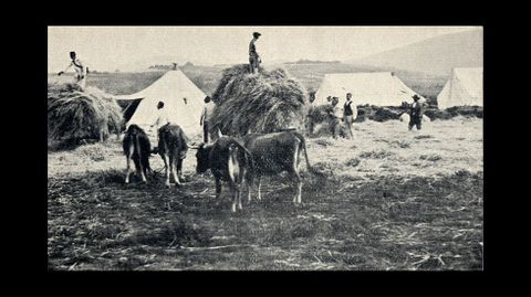 Reparto de paja en el campamento a cargo de la administración militar