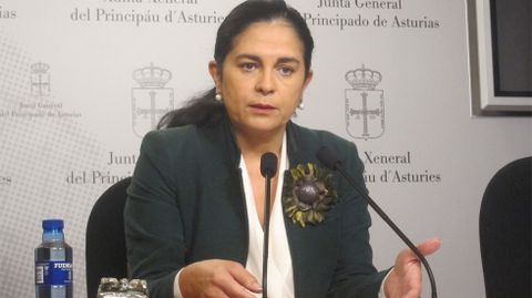 Carmen Fernández, diputada de Foro
