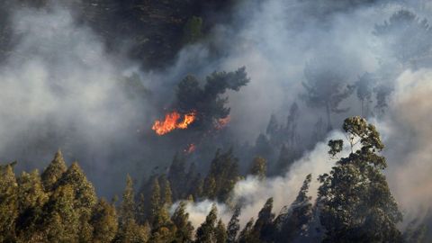 Imagen deun incendio forestale registrado en el concejo asturiano de Llanes en el ao 2017