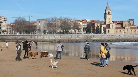 Propietarios de perros con sus mascotas en la playa de San Lorenzo