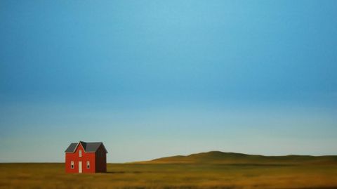 «Cottonwood», de Mónica Dixon
