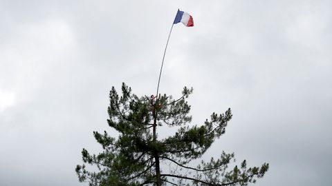 Bandera francesa en un árbol en el tour de Francia