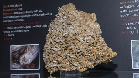 Una muestra de cuarzo lechoso de Vilarbacú en la colección mineralógica del museo