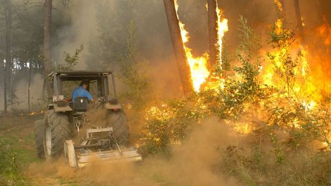 Labores de extinción en la zona de Zamáns, en Vigo