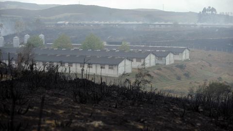 Incendio en Siado, en la comarca de Deza