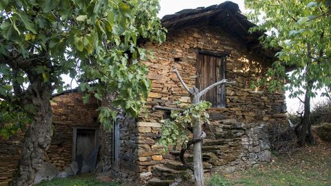 Ruta de Peites. Sequeiro de castañas