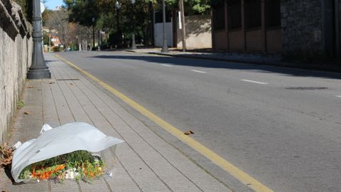 Un ramo de flores en el punto de la avenida de Dionisio Cifuentes donde fue atropellado Juan Fombona