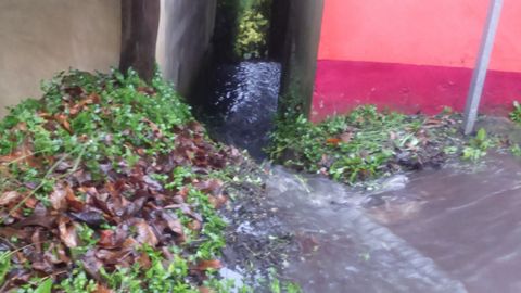 Las aguas residuales afectaron a varias fincas en la parroquia de Limodre